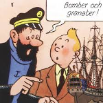 Användarvisningsbild