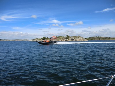 100803rib.JPG