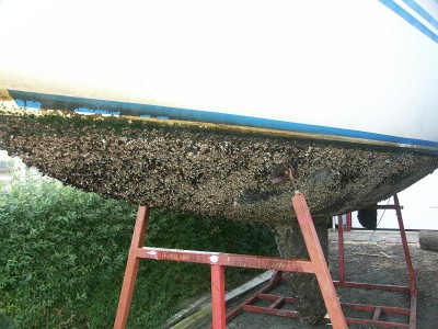 PICT0990a.JPG